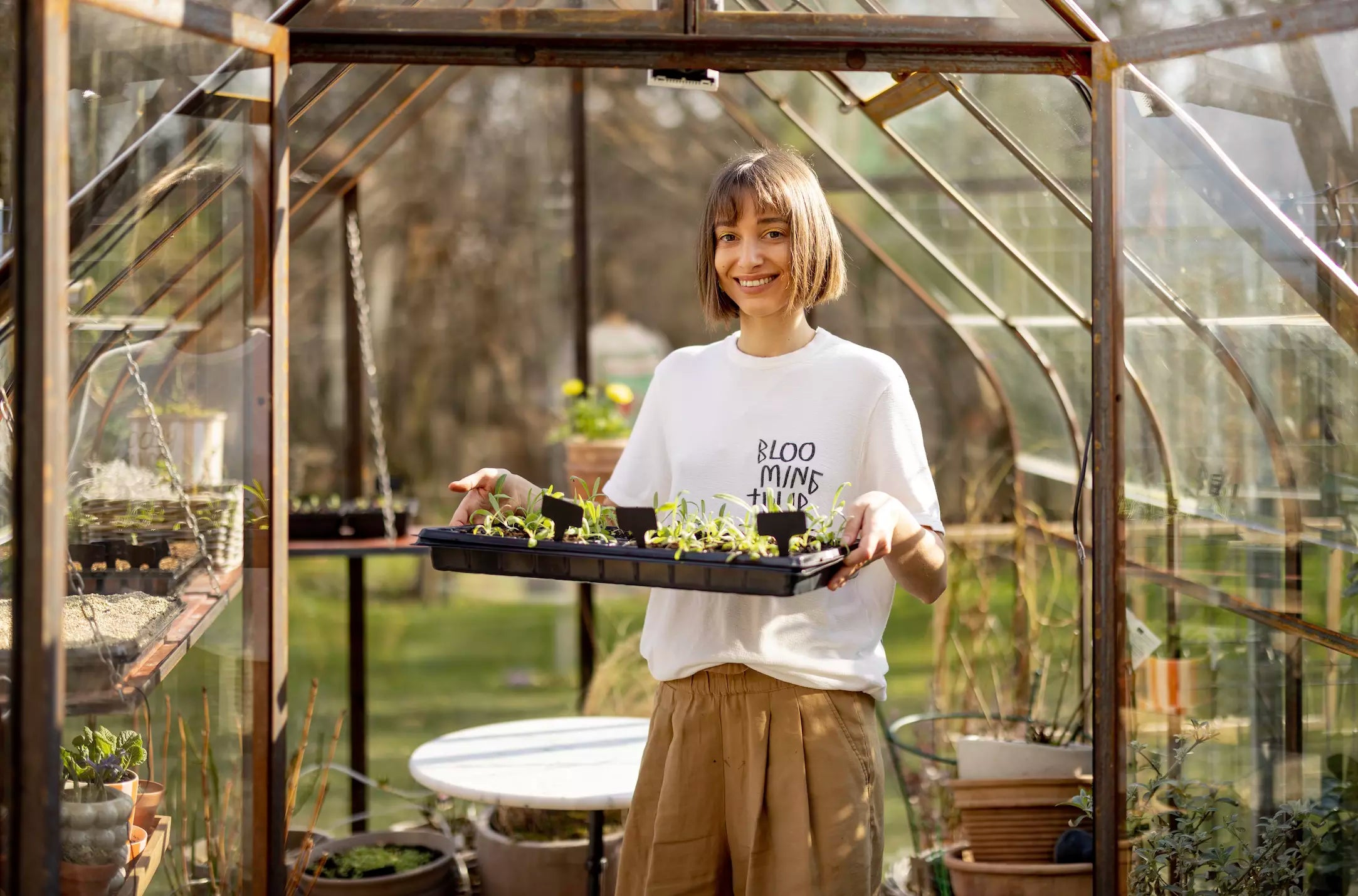 Que Cultiver sous Serre ?