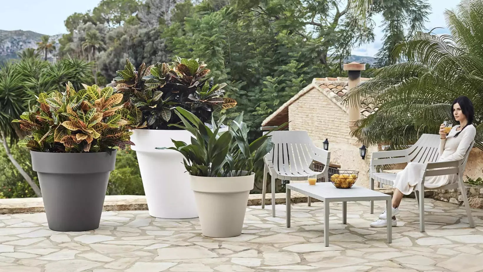 TOP 10: Plantas y Flores para Poner en una Maceta Grande Exterior – Macetas  and Co, image size:1640x924