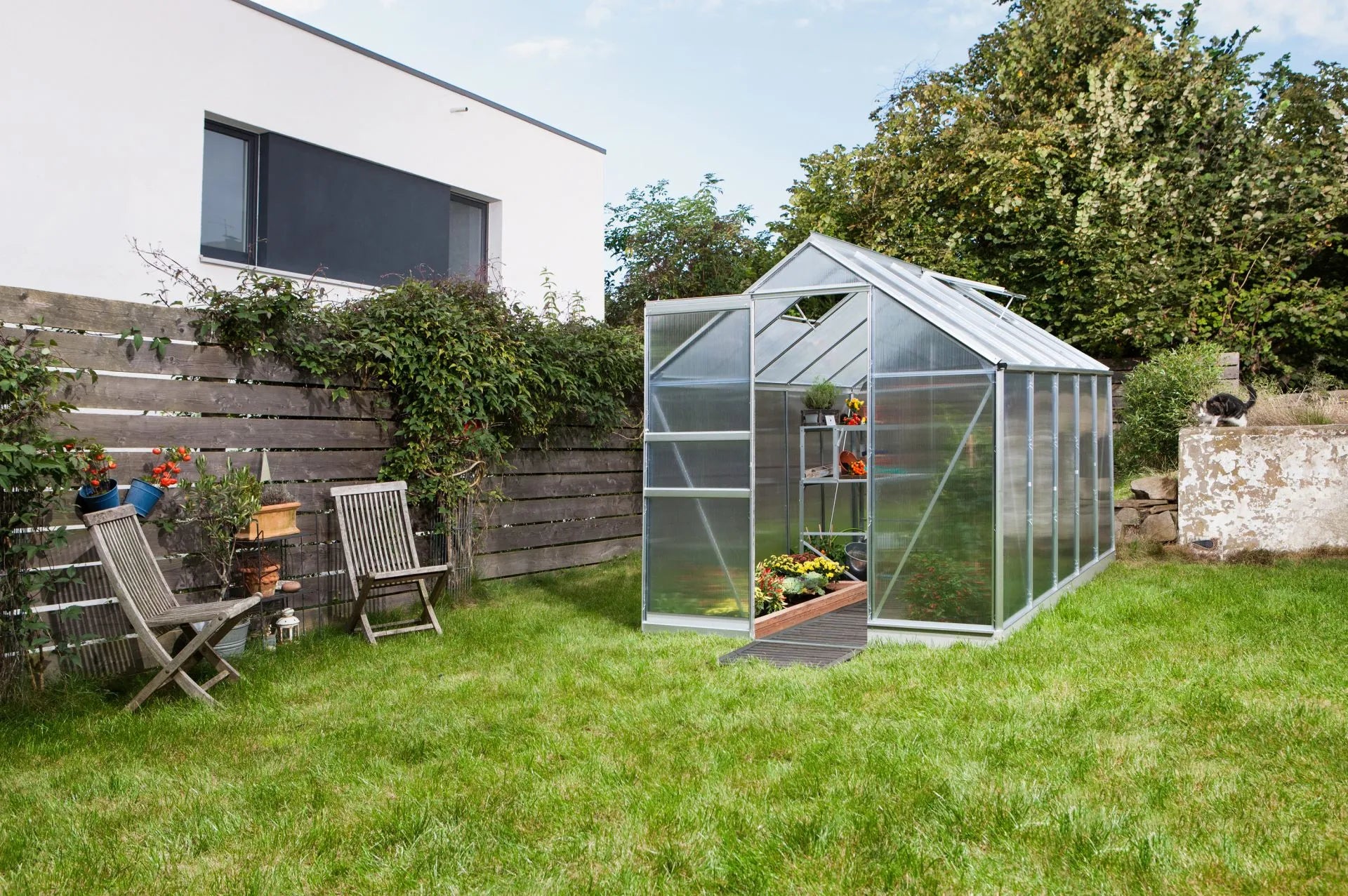 Invernadero - Apolo 6,2m²