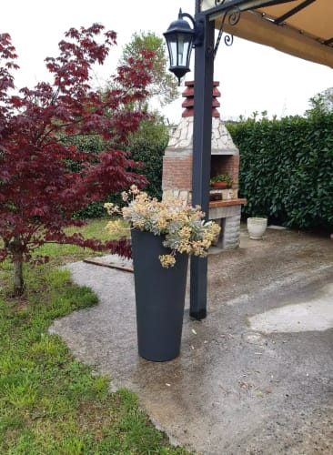 Photo de l'avis de Aless