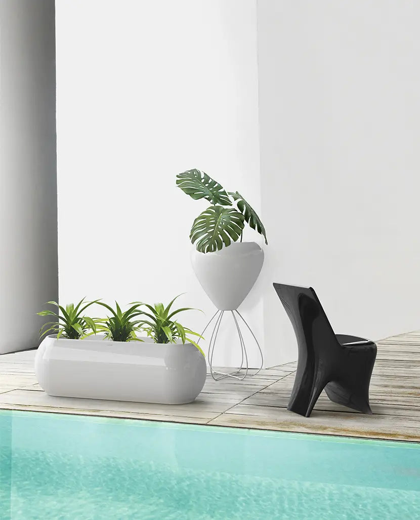 Jardinera - Pal 2