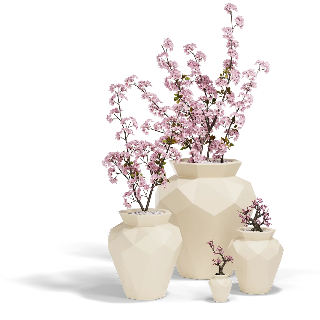 Maceta - Hanami