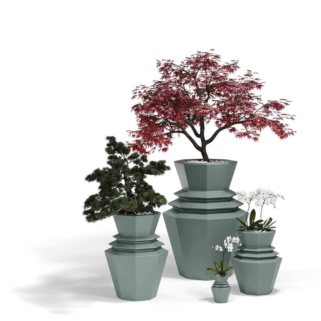 Maceta - Hinoki