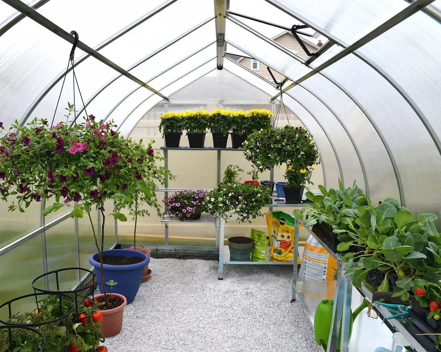 Invernaderos - Hermosos 6 m²