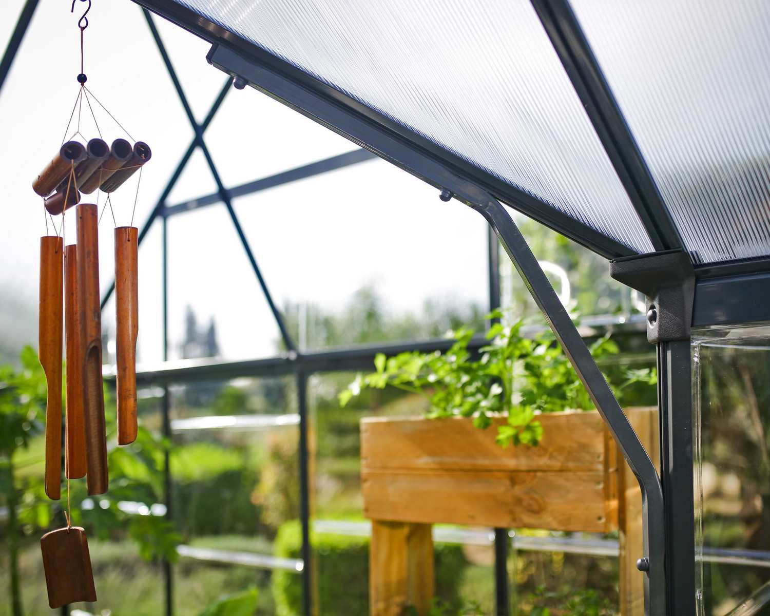 Invernadero - Victoria 11,1m²
