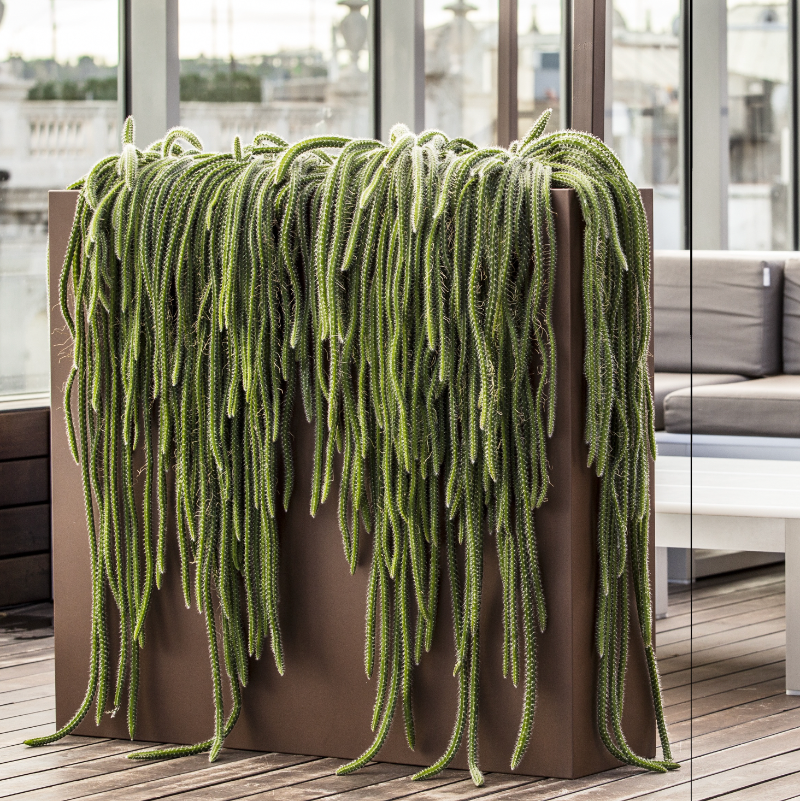 bac-jaridniere-haute