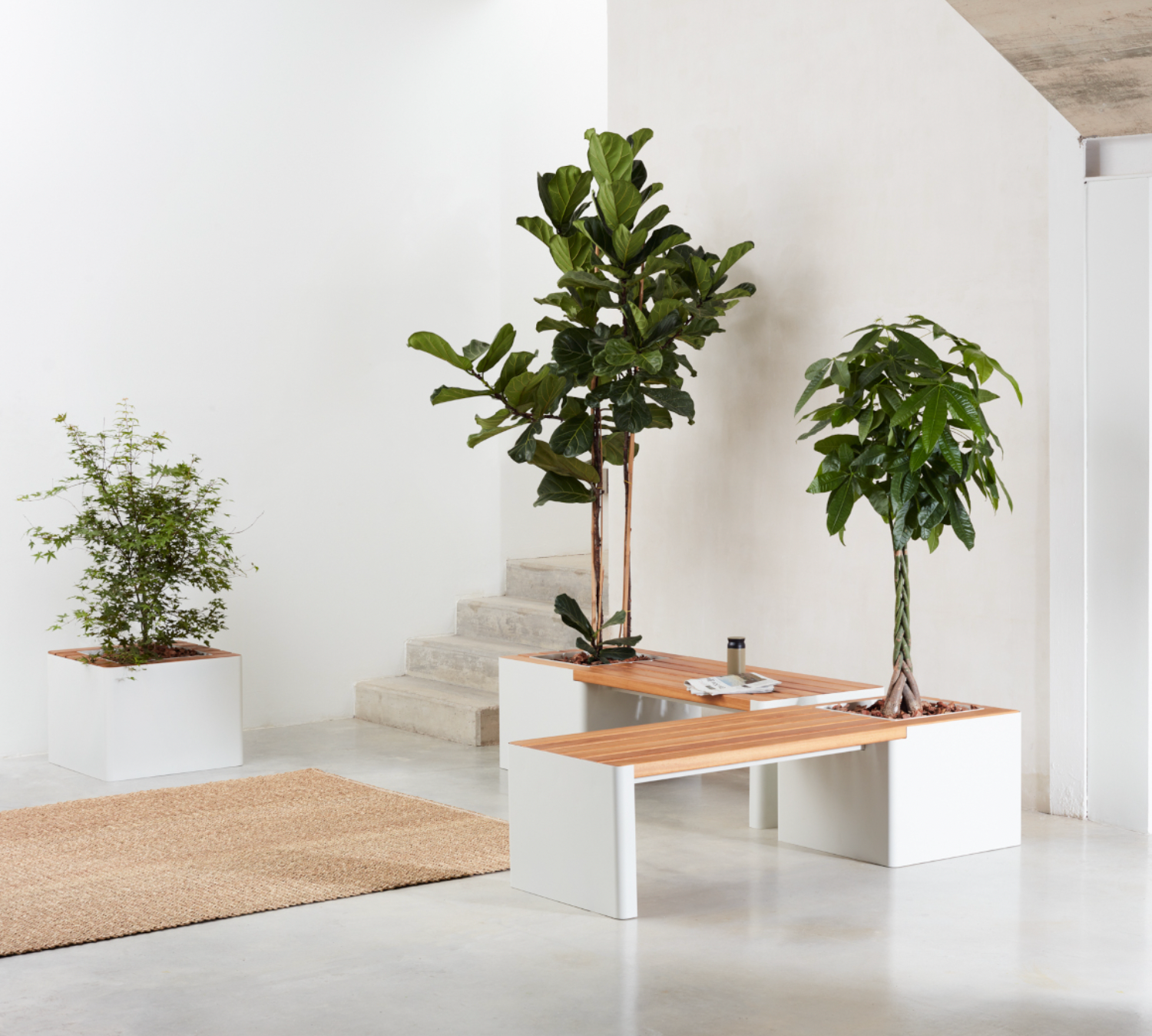 Jardinera - Woodgreen