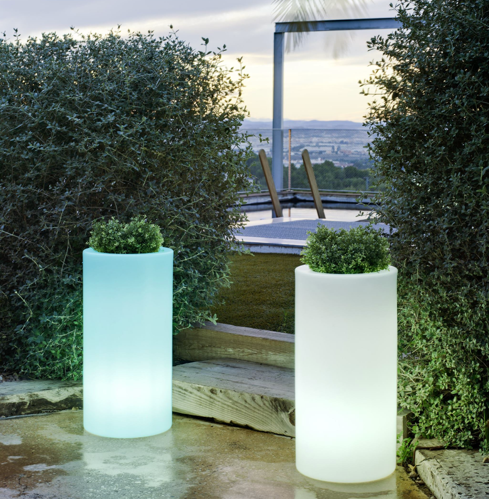 Maceta - LED Palm