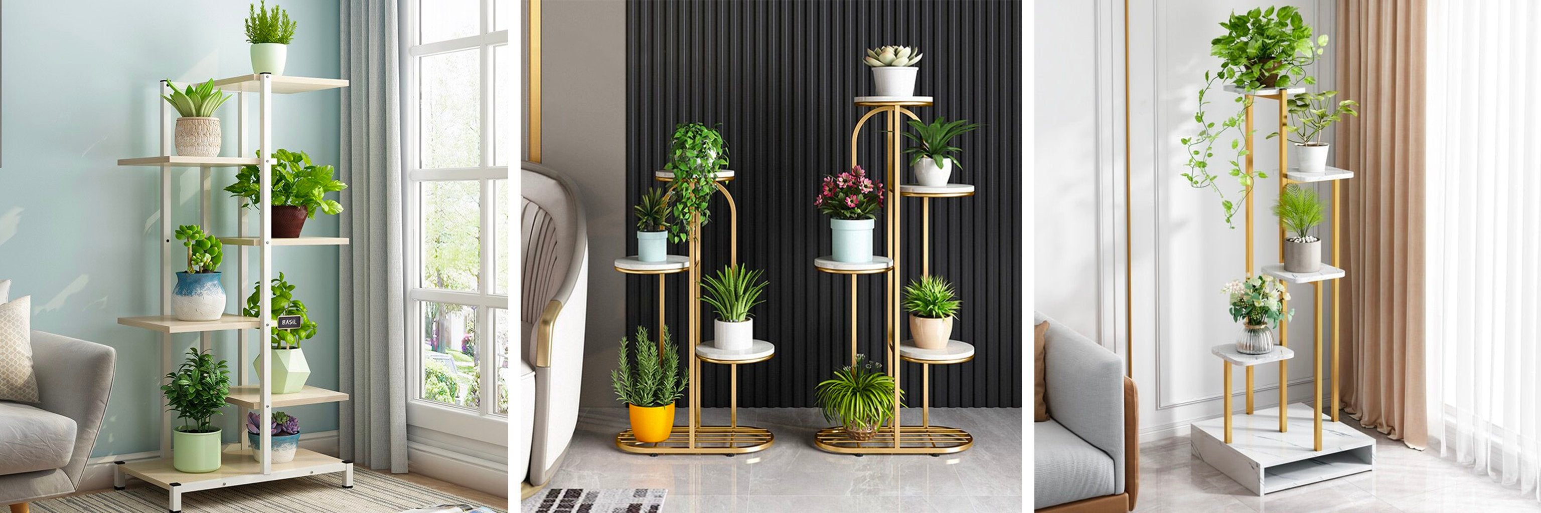 étagère plante