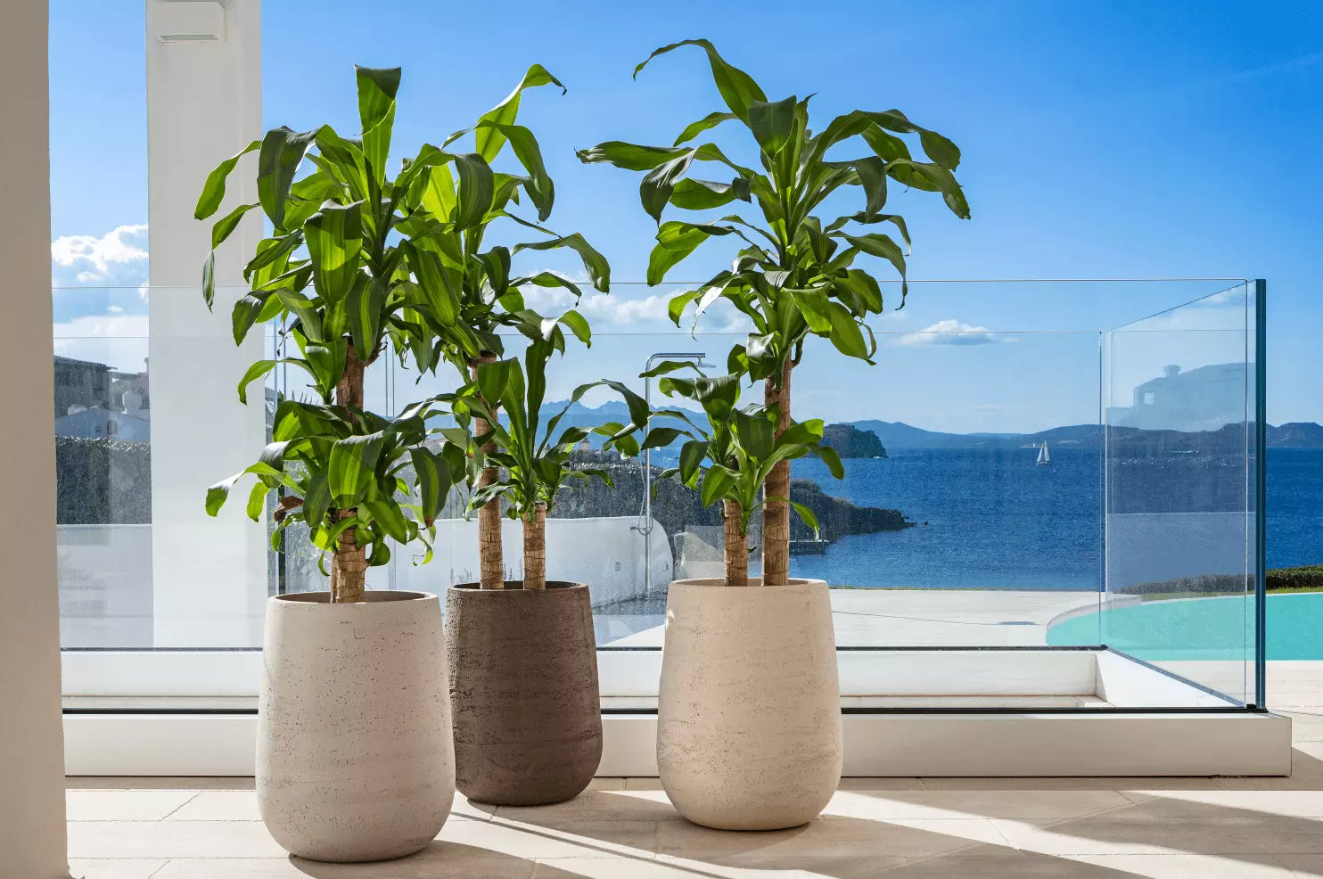 Pot en Terre Cuite Italien