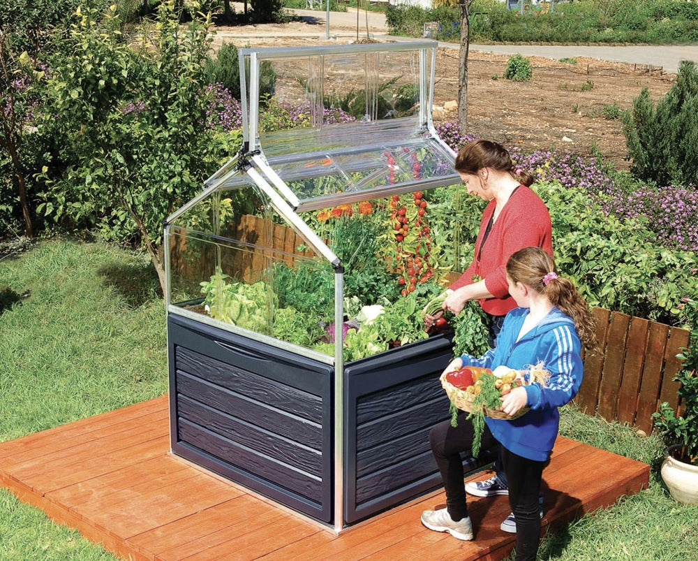 Mini Serre de Jardin & Petite Serre de Balcon