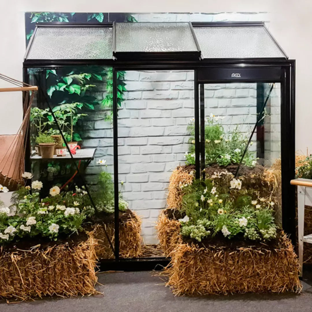 serre de jardin acd miccolo