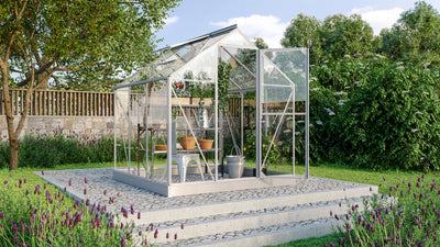 serre verre trempé 3 m2 