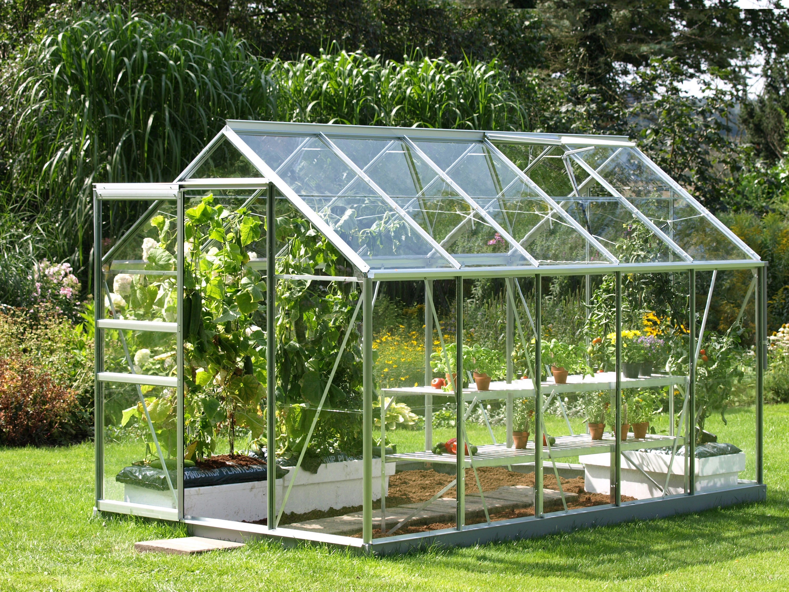 serre verre trempé 6m2 