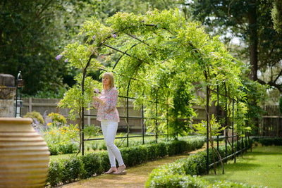 Arche_Jardin_Largeur_3metres_pas_cher