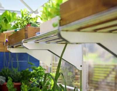 Etagere-Aluminium-serre-Jardin-Polycarbonate-exterieur