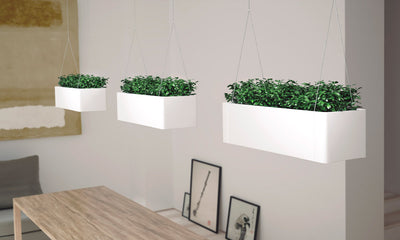 Jardiniere-Metal-Rectangulaire-Suspendue