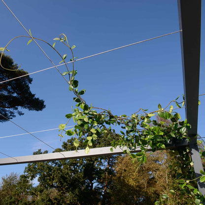 Pérgola - Techo