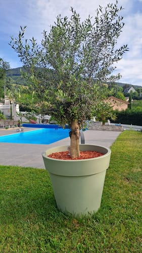Photo de l'avis de Christelle