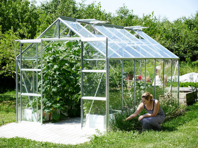 serre de jardin 4x2