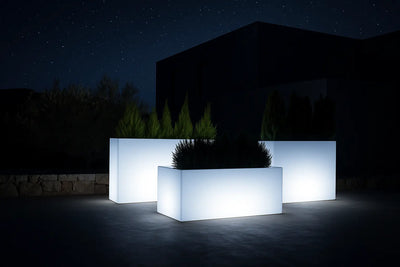 bac fleur lumineux