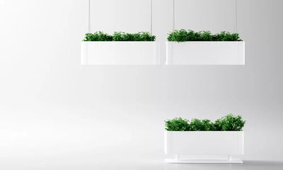 jardiniere-suspendue-interieur
