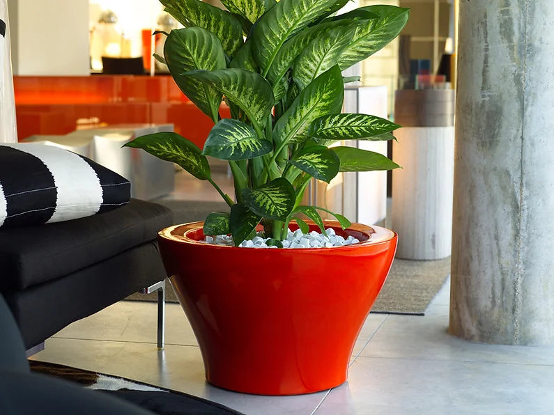 jardiniere-vasque-rouge
