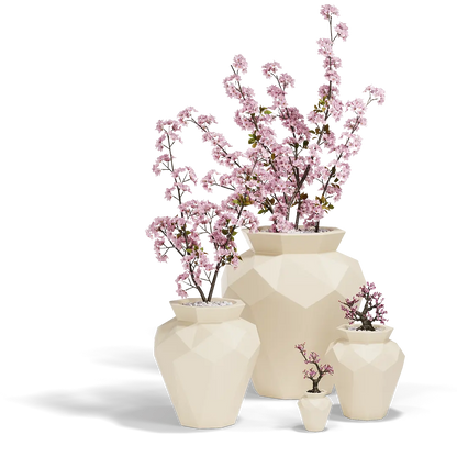 Maceta - Hanami
