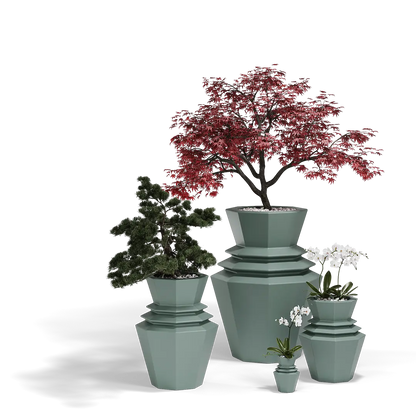 Maceta - Hinoki