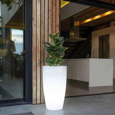 Maceta - Bambú LED