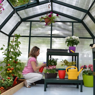 Invernadero - Jardinero aficionado 7 m²