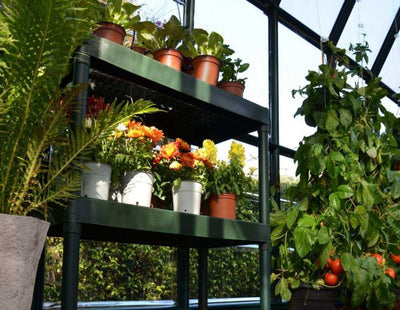 Tabla de cultivo