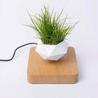 pot de fleurs flottant