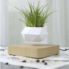 Pot de fleurs qui flotte