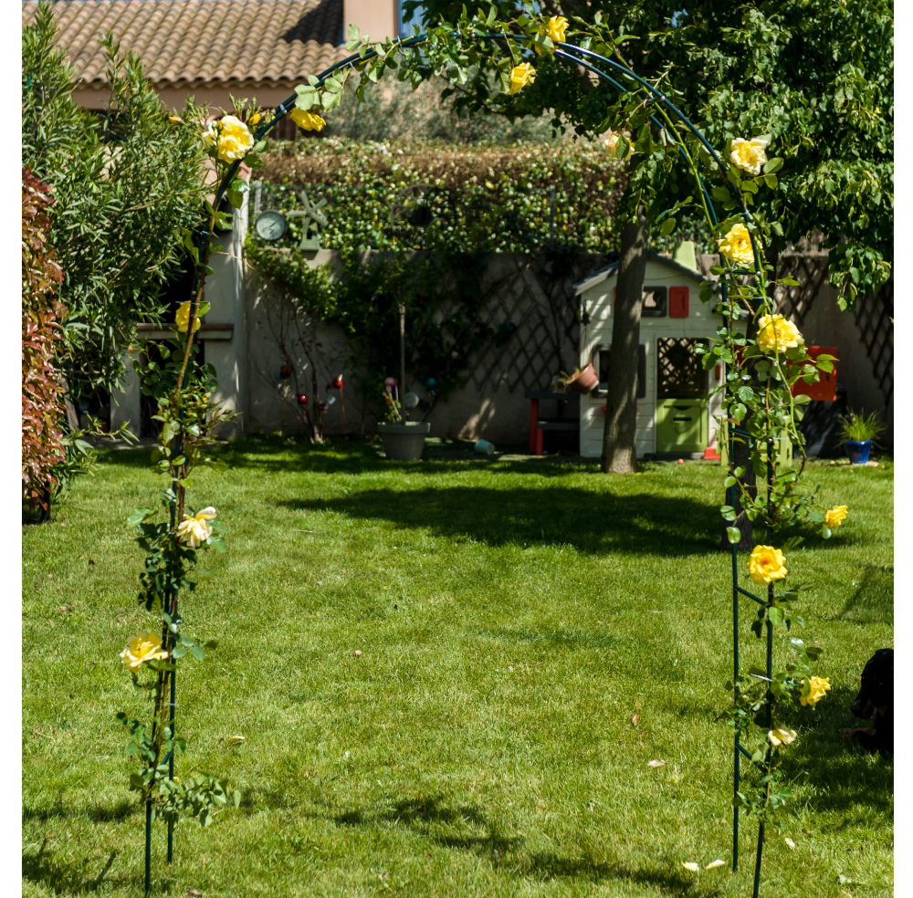Arche Rosier Grimpant