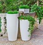 pot blanc