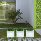 bac lumineux jardin