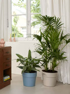 jardiniere-100_recyclable