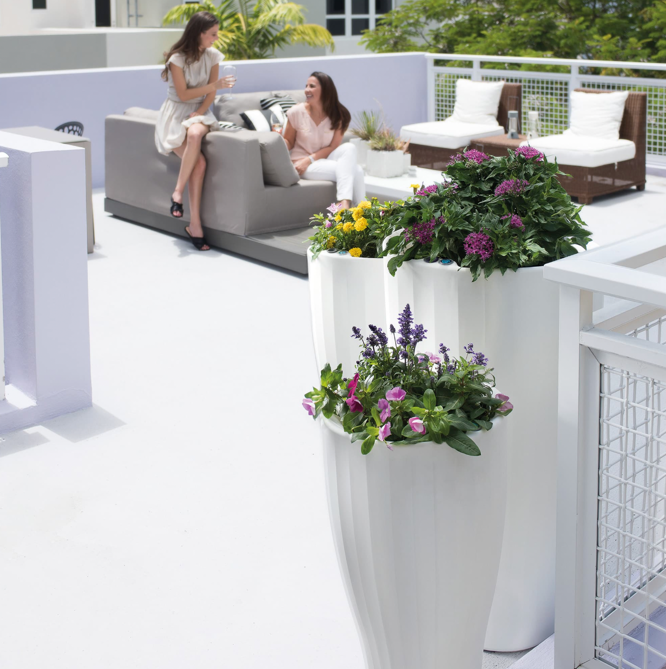 jardiniere-coupe