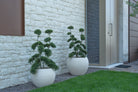 pot argile rond