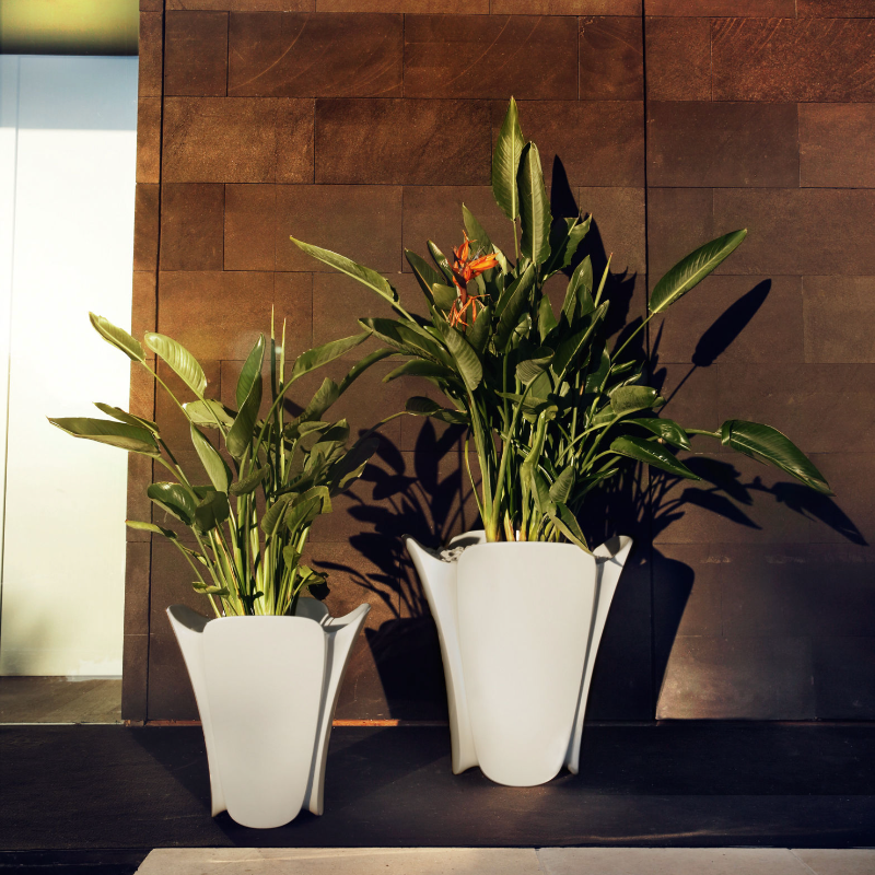 pot de fleurs terrasse