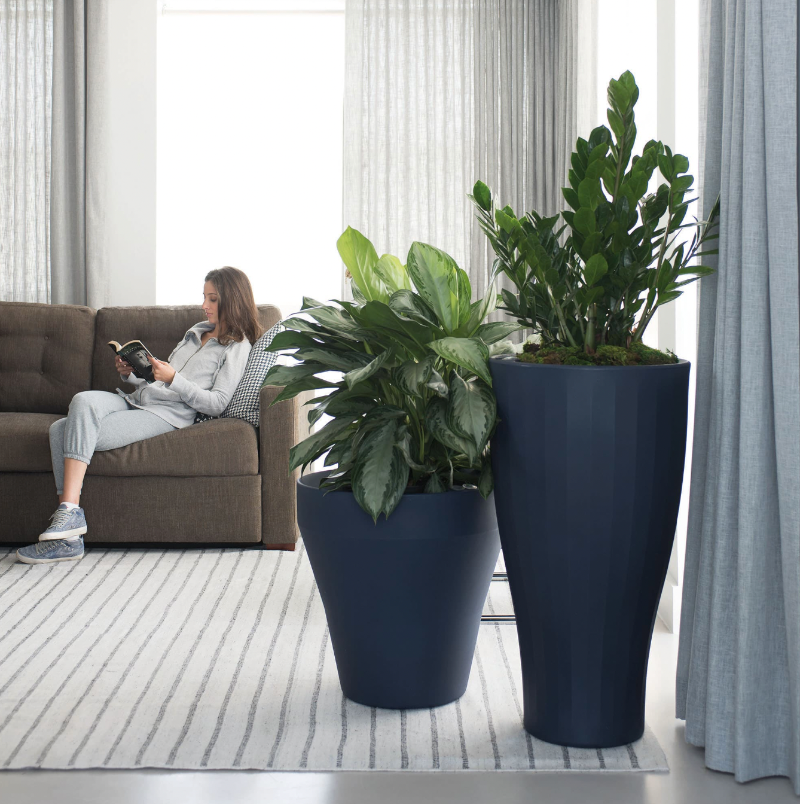    pot-forme-coupe