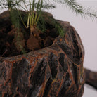 Cache pot Magnétique