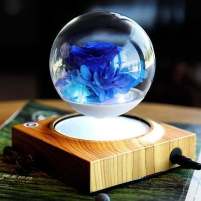 Maceta - Bola de cristal